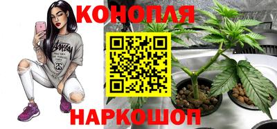 дмт Тверь